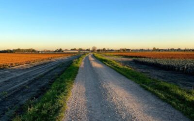 Denk mee over de toekomst van Horst aan de Maas